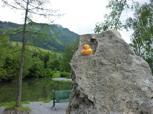 taichiplatzstein